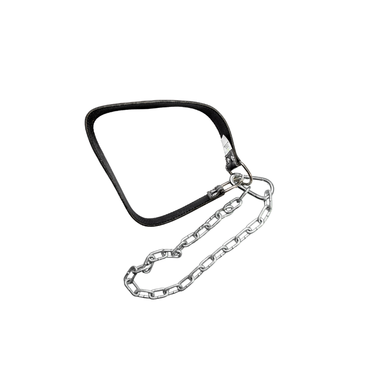 CINTURÓN DE LASTRE