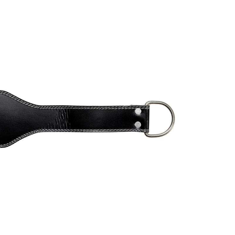 CINTURÓN DE LASTRE